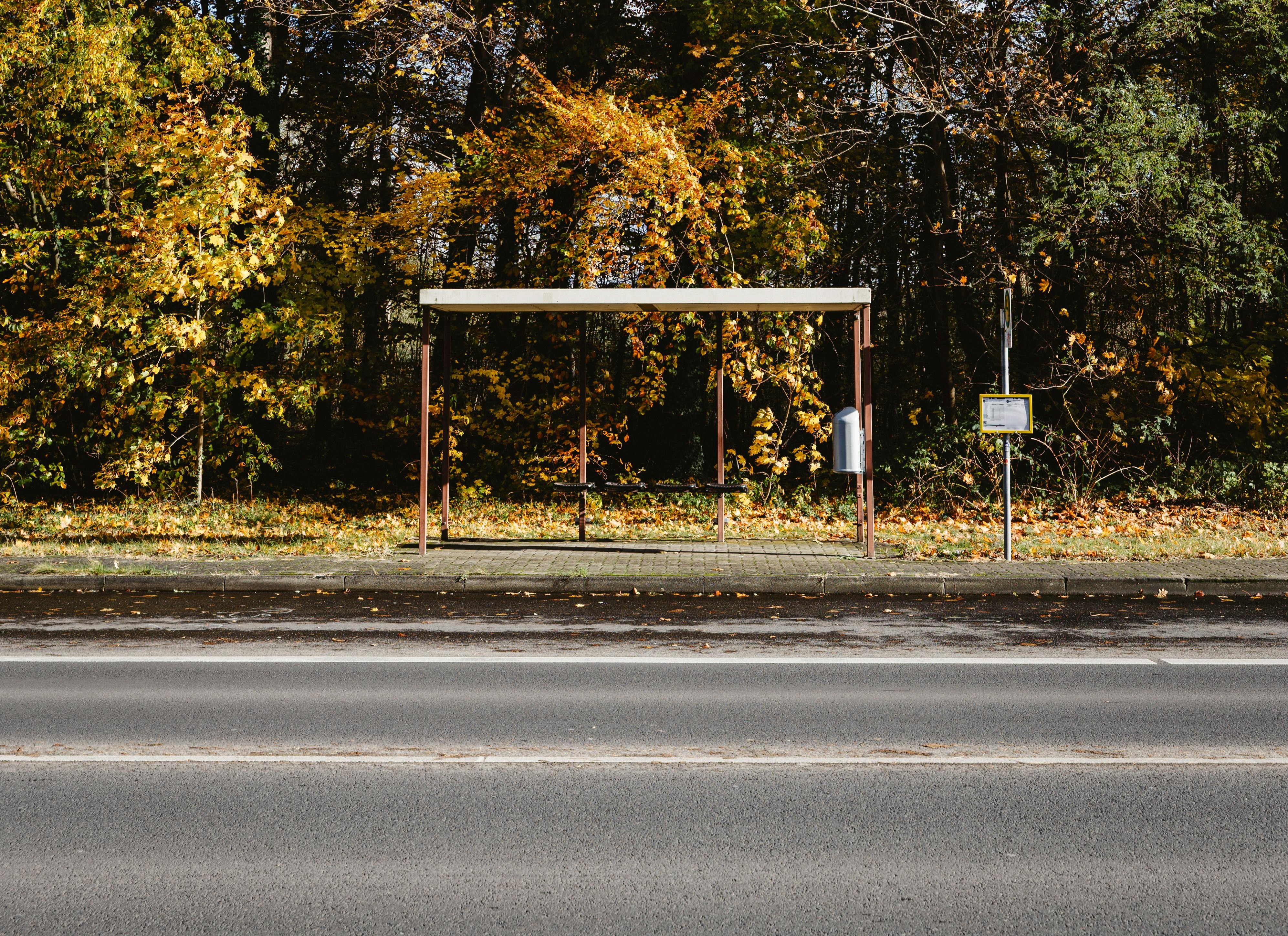A bus stop by a country road