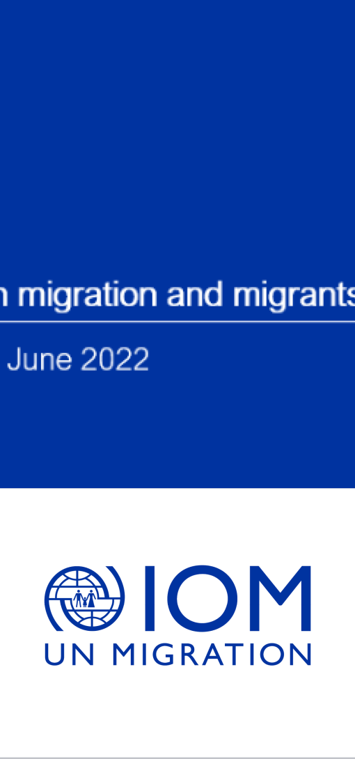 Impacts of COVID-19 on migration and migrants from a gender perspective