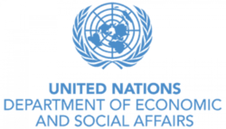 undesa logo