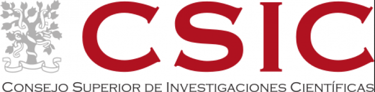 CSIC Logo