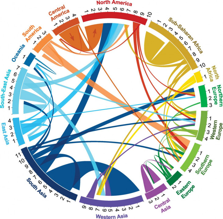 The Global Flow of People