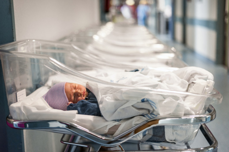 Why Are Birth Rates in Sweden Falling?